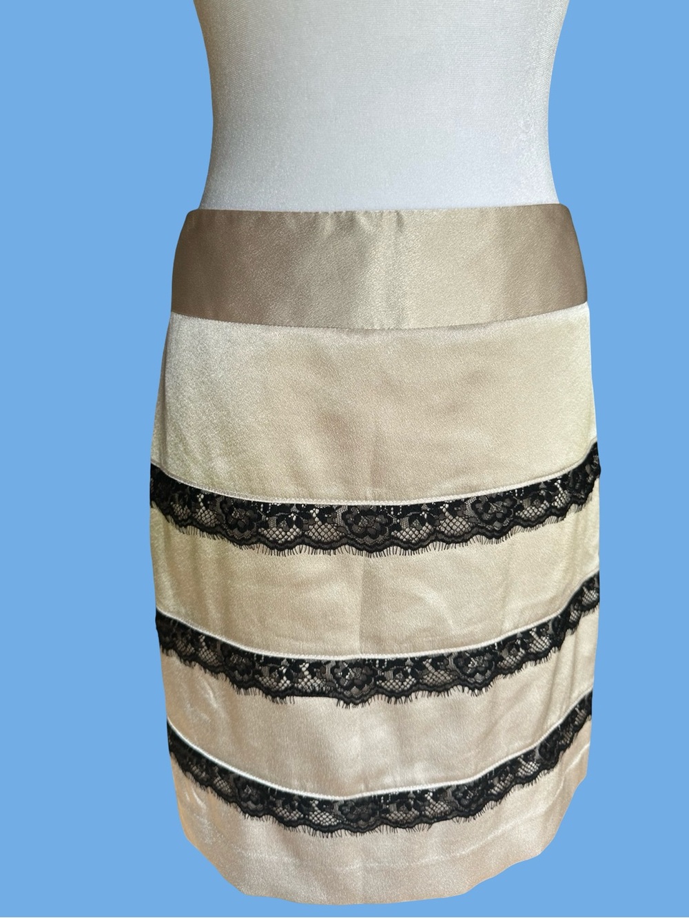 90s The Limited Shimmer Beige A-Line Skirt with Black Lace Bands - Picture 2 of 6
